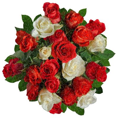 Madd Capp Puzzles: ROSE 350 Piece Jigsaw Puzzle Image 1
