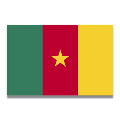 Magnet Me Up Cameroon Cameroonian Flag Car Magnet Decal, 4x6 Inches, Heavy Duty Automotive Magnet for Car, Truck SUV Image 1