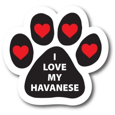 Magnet me Up I Love My Havanese Pawprint Magnet Decal, 5 Inch, Heavy Duty Automotive Magnet for Car Truck SUV Image 1