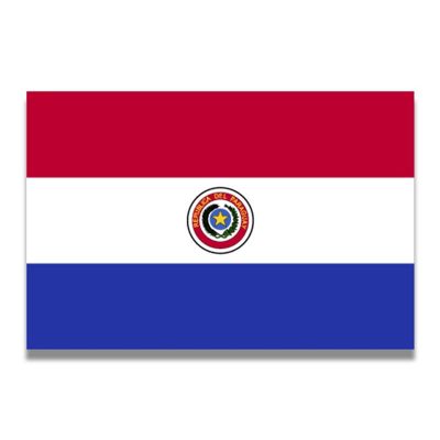 Magnet Me Up Paraguay Paraguayan Flag Car Magnet Decal, 4x6 Inches, Heavy Duty Automotive Magnet for Car, Truck SUV Image 1