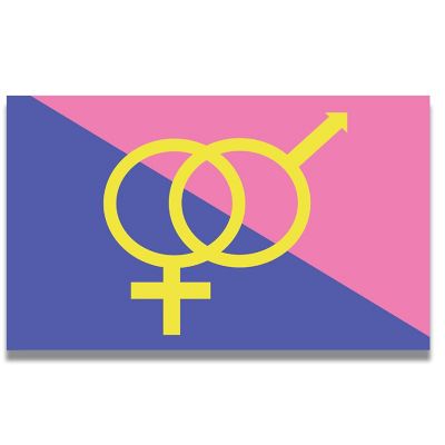 Magnet Me Up Straight Pride Flag Magnet Decal, 3x5 Inches, Pink Blue and Yellow, Heavy Duty Automotive Magnet for Car Truck SUV Image 1