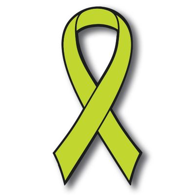 Magnet Me Up Support Non Hodgkins Lymphoma Cancer Awareness Lime Ribbon Magnet Decal, 3.5x7 Inches, Heavy Duty Automotive Magnet for Car Truck SUV Image 1