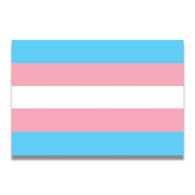 Magnet Me Up Transgender Pride Flag Magnet Decal, 4x6 Inches, Pink Blue and White, Heavy Duty Automotive Magnet for Car Truck SUV, in Support of LGBTQ Image 1