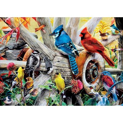 MasterPieces Audubon - Backyard Birds 1000 Piece Jigsaw Puzzle Image 2