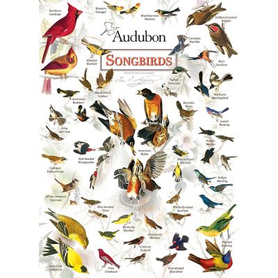 MasterPieces Audubon - Songbirds 1000 Piece Jigsaw Puzzle for Adults Image 2