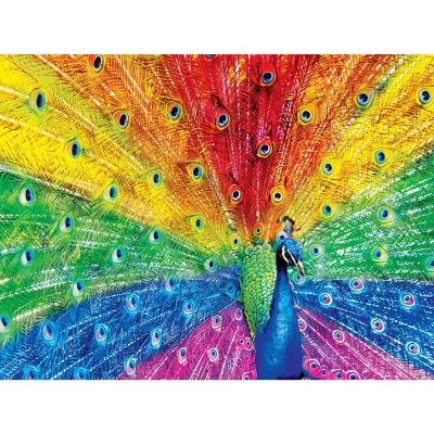 MasterPieces Brilliance - Peacock Delight 550 Piece Jigsaw Puzzle Image 2