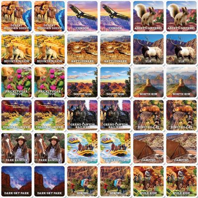 MasterPieces Jr. Ranger National Parks Matching Game for Kids Image 2