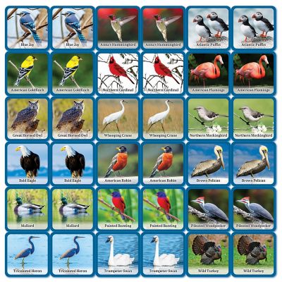 MasterPieces Officially Licensed Audubon Picture Matching Card Game for Kids and Families Image 2