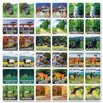 MasterPieces Officially Licensed National Parks Great Smoky Mountains Picture Matching Card Game for Kids and Families Image 2