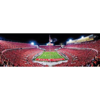 MasterPieces Panoramic Puzzle - NCAA Ohio State Buckeyes Endzone View Image 2