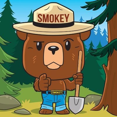 MasterPieces Smokey Bear - 100 Piece Square Jigsaw Puzzle for kids Image 2