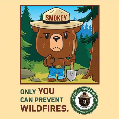 MasterPieces Smokey Bear - 100 Piece Square Jigsaw Puzzle for kids Image 3