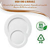 Matte Milk White Round Disposable Plastic Dinnerware Value Set (120 Dinner Plates + 120 Salad Plates) Image 3