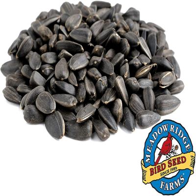 Meadow Ridge Farms Black Oil Sunflower Bird Seed, 10-Pound Bag Image 3