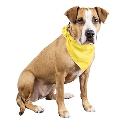 Mechaly 4 Pcs Plain Cotton Pets Dogs Bandana Triangle Shape  - Large & Washable (Yellow) Image 1