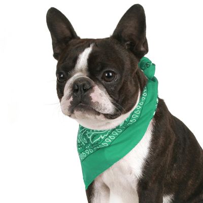 Mechaly Pack of 8 Paisley Cotton Dog Bandana Triangle Shape  - Fits Most Pets (Green) Image 1