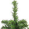 Medium Canadian Pine Artificial Christmas Tree - 18&quot; - Unlit Image 1