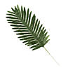 Medium Polyester Palm Leaves - 12 Pc. Image 1