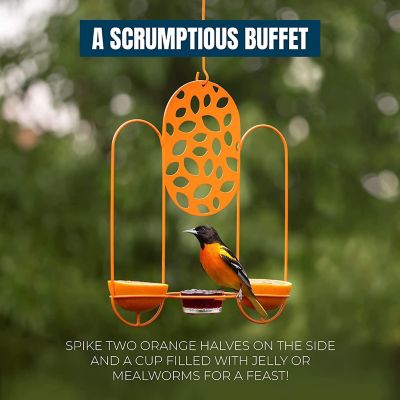Mekkapro - Orange Metal Bird Feeder, Temple Oriole Feeder for Outdoors Image 2
