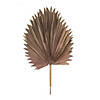 Melrose International Fan Palm Leaf (Set Of 6) 41In Image 1