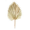 Melrose International Fan Palm Leaf (Set Of 6) 42In Image 1