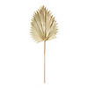 Melrose International Fan Palm Leaf (Set Of 6) 42In Image 1