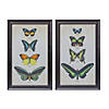 Melrose International Framed Butterfly Print (Set Of 2) 18.3In Image 1
