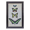 Melrose International Framed Butterfly Print (Set Of 2) 18.3In Image 2