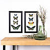 Melrose International Framed Butterfly Print (Set Of 2) 18.3In Image 3