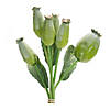 Melrose International Poppy Pod Bundle (Set Of 6) 9.5In Image 1