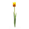 Melrose International Tulip Stem (Set Of 6) 27In Image 1