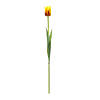 Melrose International Tulip Stem (Set Of 6) 27In Image 1