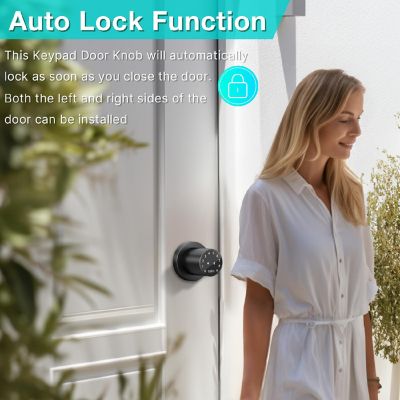 Metal Electronic Door Lock Black Image 1