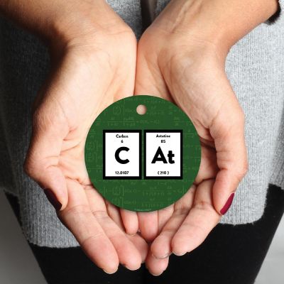 Metal Ornament Cat, Science Image 2