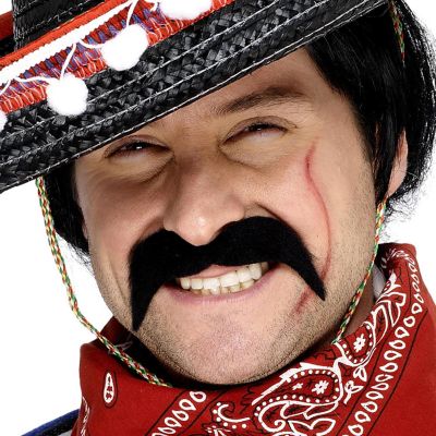 Mexican Black Moustache Costume Accessory Image 1