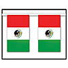Mexican Flag Banner Image 1
