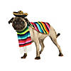 Mexican Serape Dog Costume Image 1