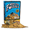 Mine For Fossils Image 2