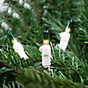 Mini Christmas Light Set - Clear with Green Tip - 10' White Wire - 50ct Image 1