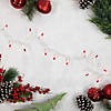 Mini Christmas Light Set - Red - 10' White Wire - 50ct Image 1