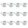 Mini Watering Can Tabletop Decorations - 12 Pc. Image 1