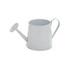 Mini Watering Can Tabletop Decorations - 12 Pc. Image 1