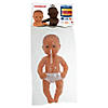 Miniland Educational Anatomically Correct Newborn Doll, 12-5/8", Caucasian Boy Image 2