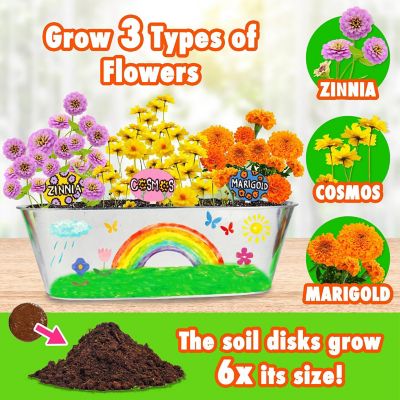 Miracle Gro Paint and Plant My First Flower Growing Kit 6+ Image 2