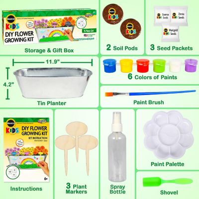 Miracle Gro Paint and Plant My First Flower Growing Kit 6+ Image 3