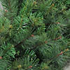 Mixed Canyon Pine Artificial Christmas Wreath - 60-Inch  Unlit Image 1