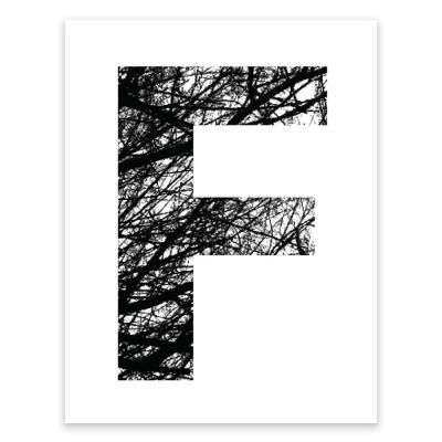 Monogram Tree Branch F 8.5x11in Image 1