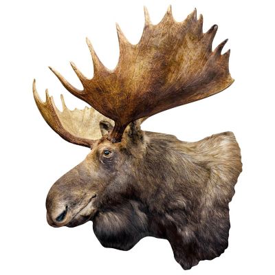 Moose 100 Piece Shaped Jigsaw Puzzle Image 2
