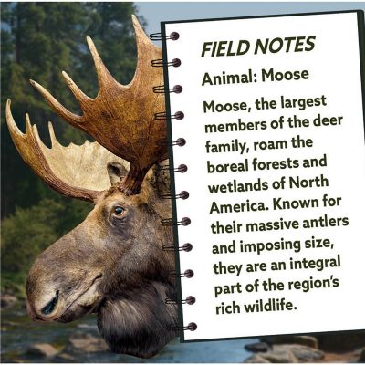 Moose 100 Piece Shaped Jigsaw Puzzle Image 3