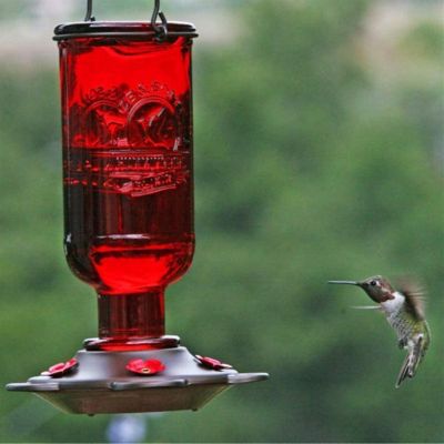 More Birds Hummingbird Feeder, 13 Oz Nectar Capacity Image 1